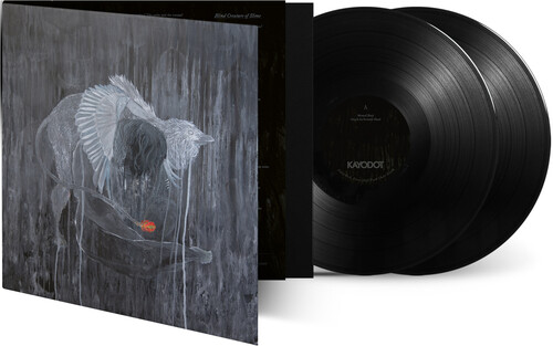 Every Rock, Every Half-Truth Under Reason