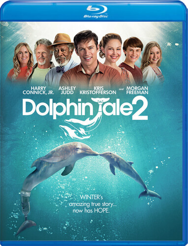 Dolphin Tale 2
