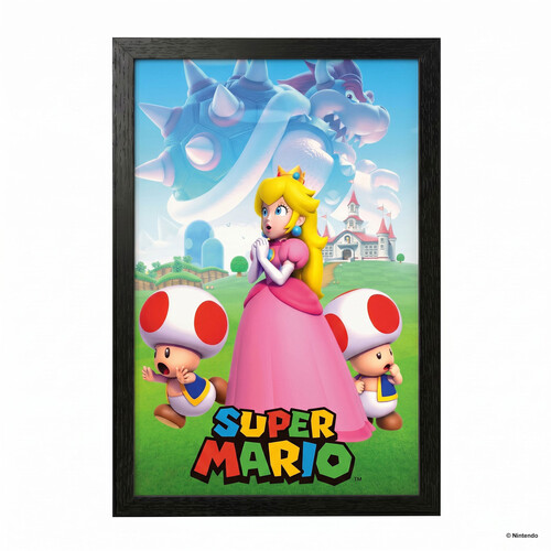 SUPER MARIO - PRINCESS AND TOA 11X17 FRAMED GEL C
