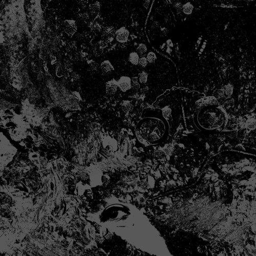 Primitive Man - Split