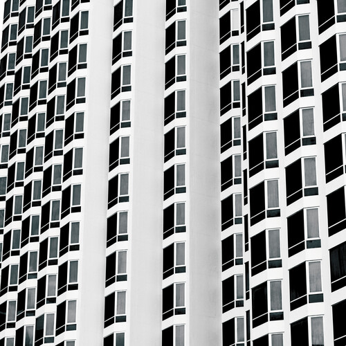 Fixation /  White Walls