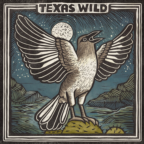 Texas Wild / Various - Texas Wild / Various