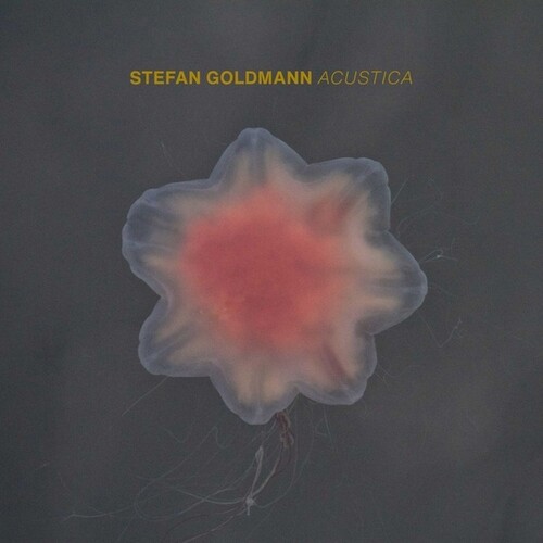 Stefan Goldmann - Acustica