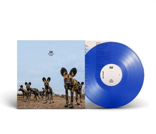 Fever - Blue