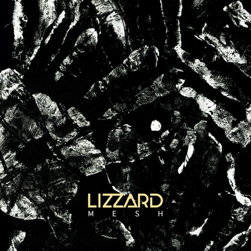 Lizzard - Mesh vinyl record cover
