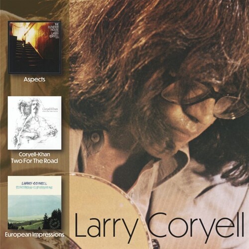 Larry Coryell - Aspects / Two For The Road/ European Impressions
