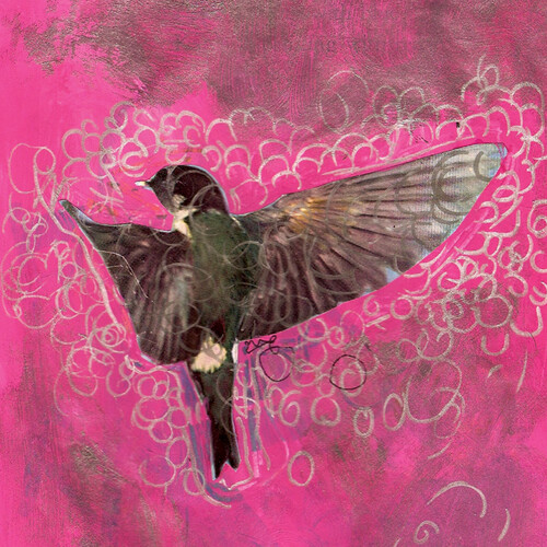 Lovesliescrushing - Girl Echo Suns Veils