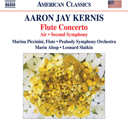 Flute Concerto / Air