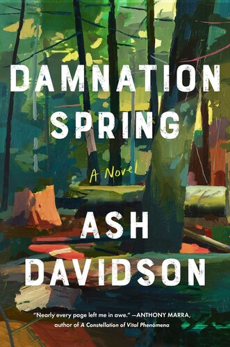 Davidson, Ash - Damnation Spring: A Novel