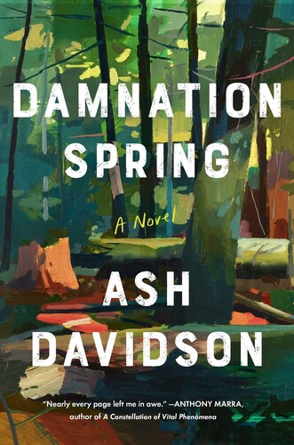 Damnation Spring: A Novel