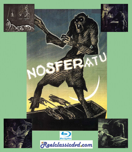 Nosferatu / Terror of Dracula