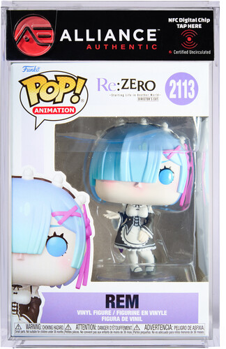 RE:ZERO REM