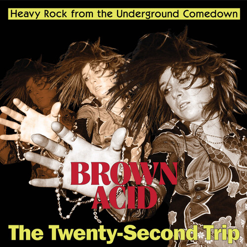 Brown Acid - Twenty-Second Trip / Various - Brown Acid - The Twenty-Second Trip (Various Artists) vinyl record cover