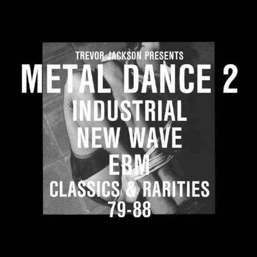 Trevor Jackson Presents Metaldance 2 - Classics and Rarities