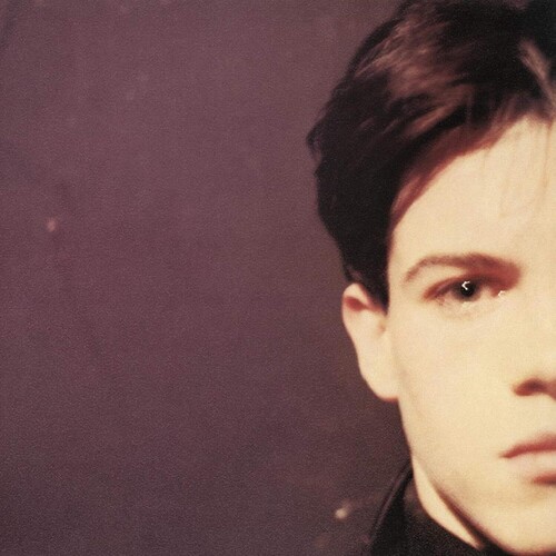 Felt - Forever Breathes The Lonely Word (Gate) vinyl record cover