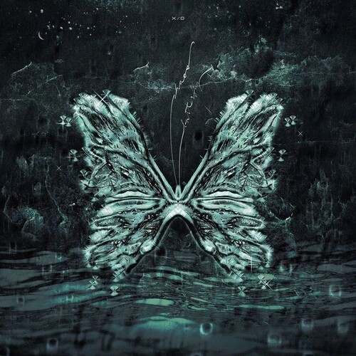 CHAOS BUTTERFLY