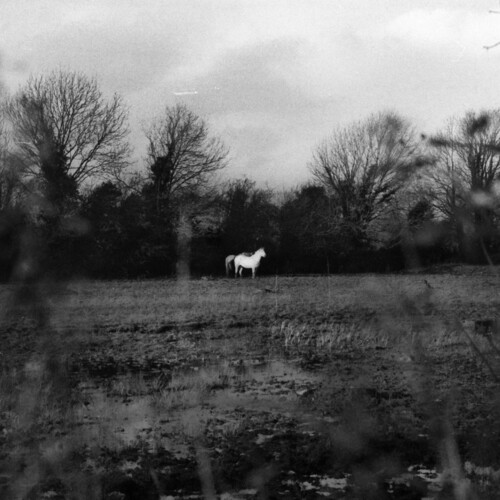 When You Run Away, Do You Close Your Eyes