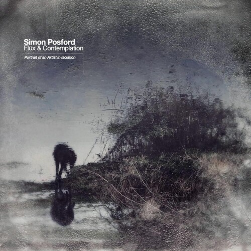 Simon Posford - Flux & Contemplation: Portrait Of An Artist In Isolation vinyl record cover