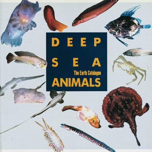 Deep Sea Animals / Various - Deep Sea Animals / Various