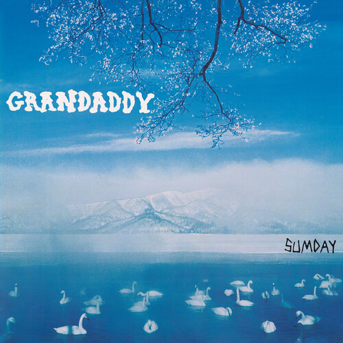 SUMDAY (IEX)