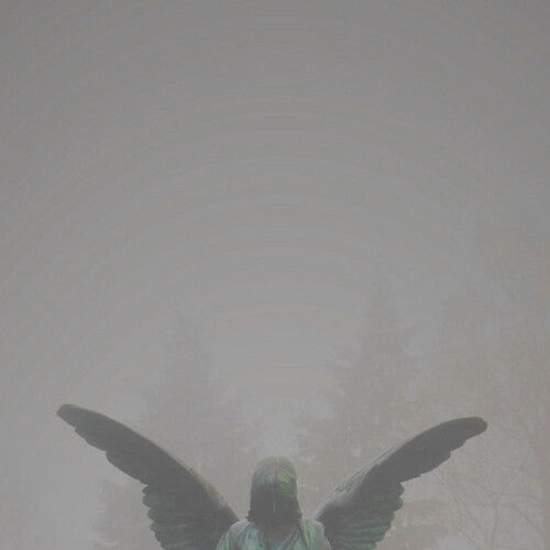 Pity /  Piety