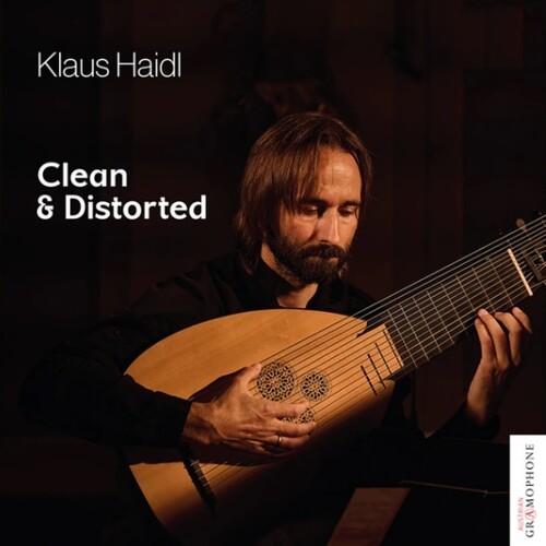 Klaus Haidl: Clean & Distorted