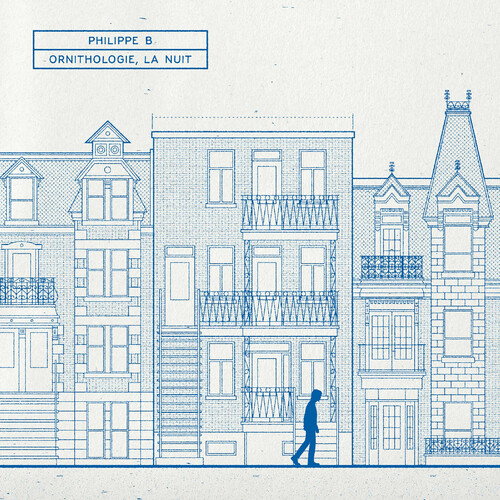 Ornithologie, La Nuit