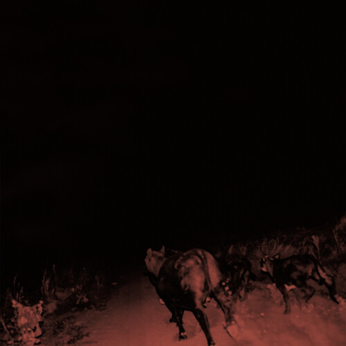 Bambara - Shadow On Everything [Colored Vinyl] (Wht)