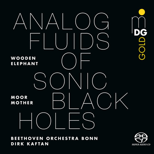 Analog Fluids of Sonic Black Holes