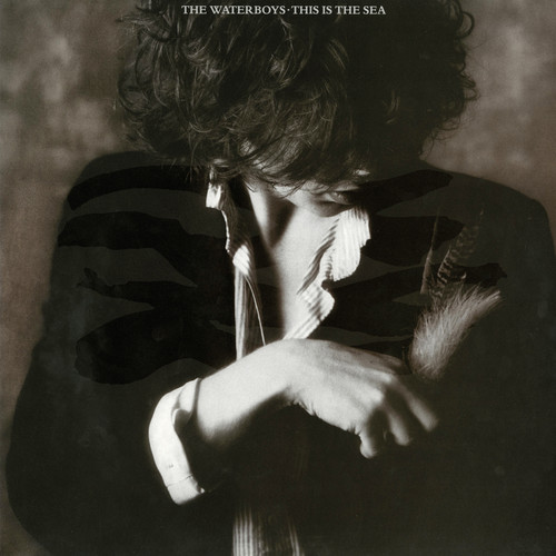 The Waterboys - This Is The Sea [Vinyl]