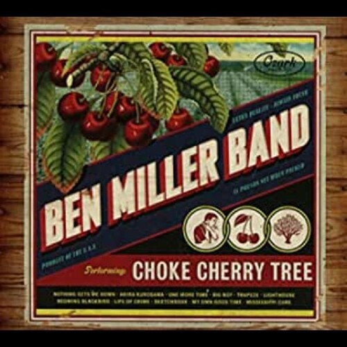 Choke Cherry Tree