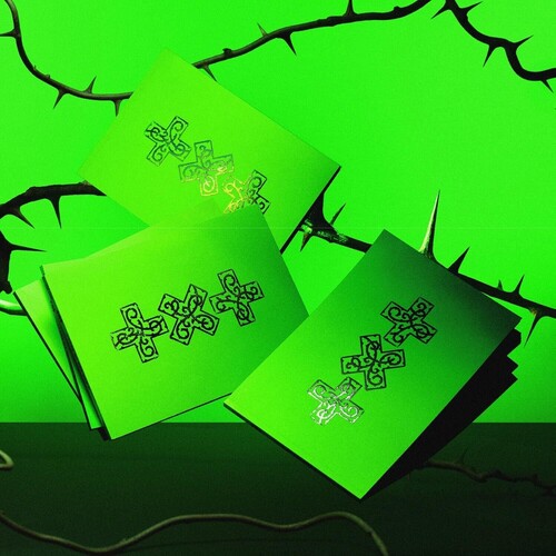 7TH YEAR: A Moment of Stillness in the Thorns [THORN ver.]