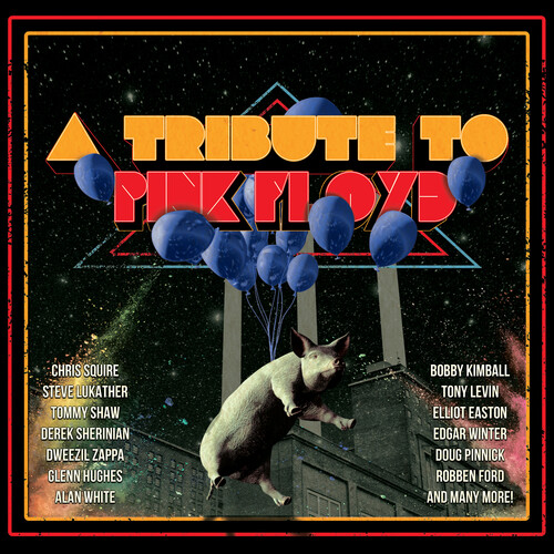 A Tribute To Pink Floyd (Various Artists) [Explicit Content]