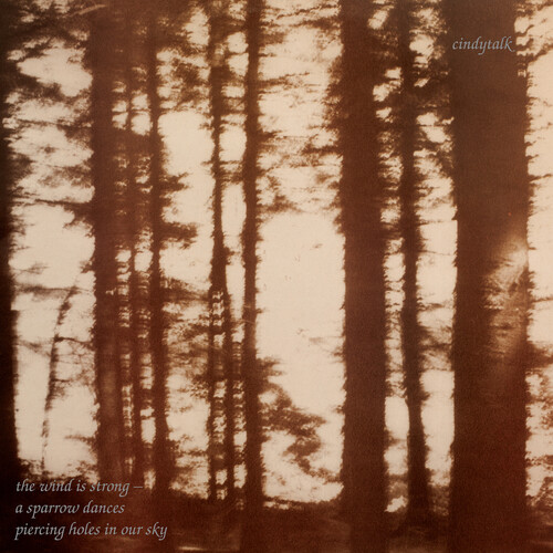 The Wind Is Strong - Marbled Smoke