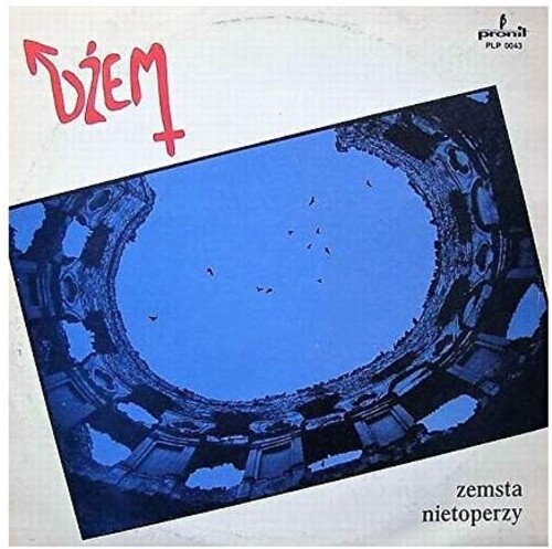 Dzem - Zemsta Nietoperzy