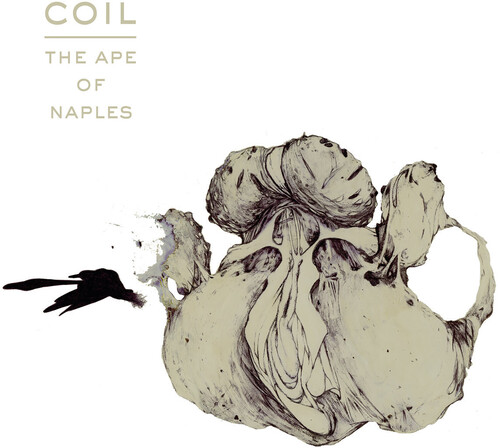Coil - Ape Of Naples - White vinyl record cover