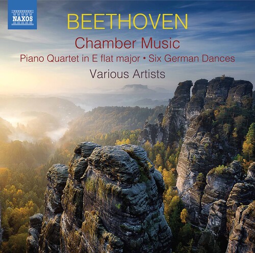 Beethoven - Chamber Music