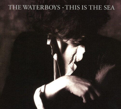 This Is The Sea: Collectors Edition