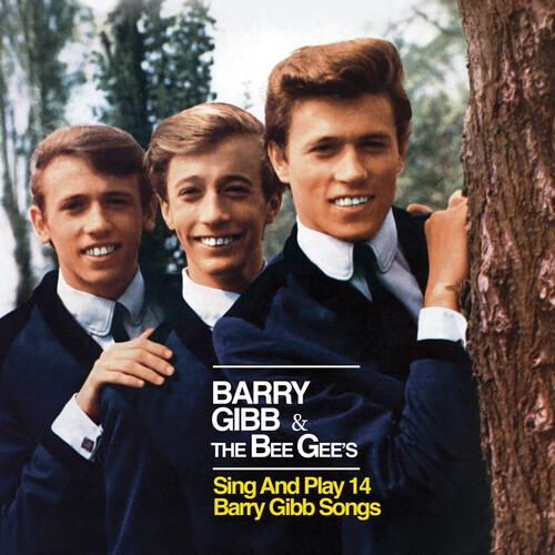Bee Gees - Barry Gibb & The Bee Gees Sing & Play 14 Barry Gibb Songs