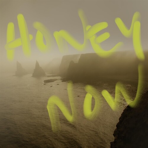Neon Waltz - Honey Now (Hol)