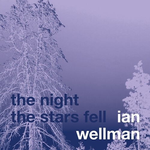 Ian Wellman - Night The Stars Fell