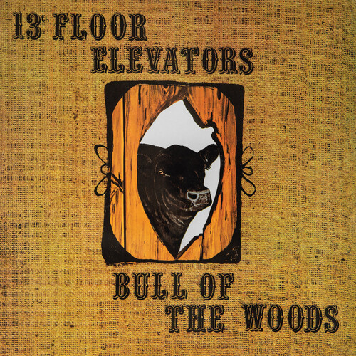 Psychedelic Sounds Of The 13th Floor Elevators
