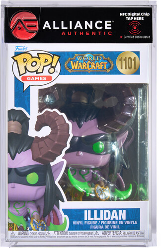 WORLD OF WARCRAFT ILLIDAN