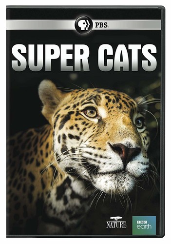 NATURE: Super Cats