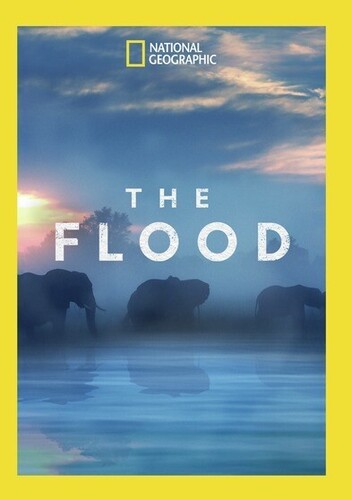 Flood - The Flood