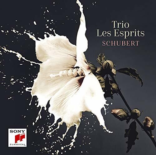 Schubert|Trio Les Esprits