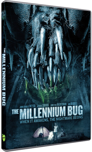 The Millennium Bug