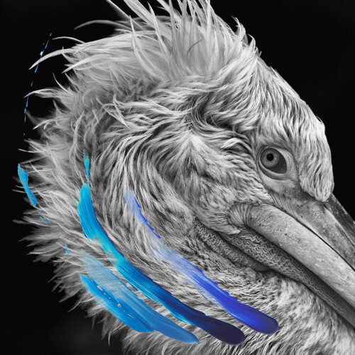 Lies - Metallic Silver