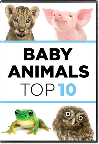 Baby Animals: The Top Ten