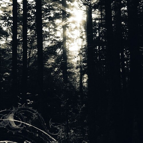 Allison Graves - I Still Look For The Mountains vinyl record cover